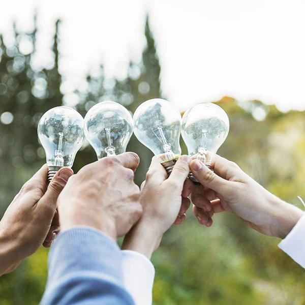 Soutenabilité et conscience écologique